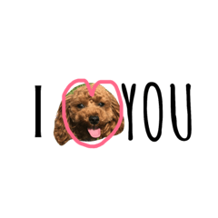 [LINEスタンプ] らおの日常