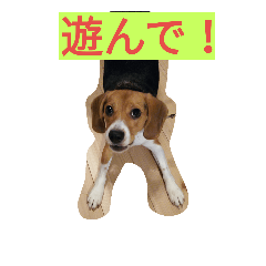 [LINEスタンプ] fannydog