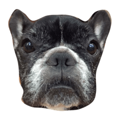 [LINEスタンプ] Dobby Do Do