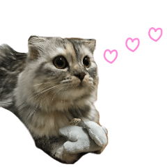 [LINEスタンプ] 気分屋ねこ、べべ。3