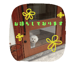 [LINEスタンプ] 美容師からお客様へよく使う言葉