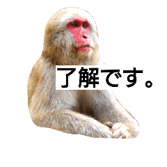 [LINEスタンプ] 目で物を言う猿 2
