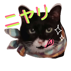 [LINEスタンプ] ぶにゃお家族