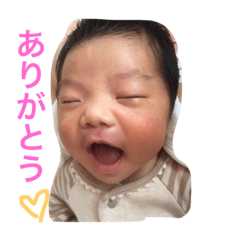 [LINEスタンプ] ひのたん
