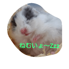 [LINEスタンプ] ペット1