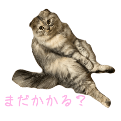 [LINEスタンプ] 気分屋ねこ、べべ。4