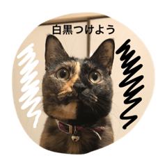 [LINEスタンプ] N.Yoko 2