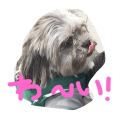 [LINEスタンプ] 犬 りんく