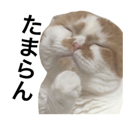[LINEスタンプ] うちのキングさん②♡