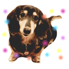 [LINEスタンプ] 喜怒哀楽ぽこちゃん