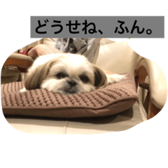 [LINEスタンプ] 桜さん日和