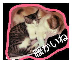 [LINEスタンプ] catheart