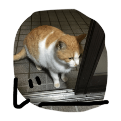 [LINEスタンプ] 優希専用です②