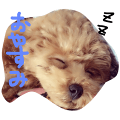 [LINEスタンプ] chibichan03