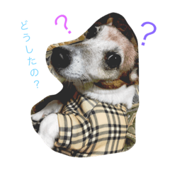 [LINEスタンプ] 愛犬イヴ