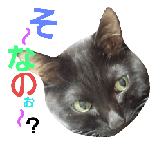 [LINEスタンプ] 黒猫ロキさん