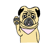 [LINEスタンプ] PUG  DOG  KINTOKI