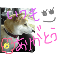 [LINEスタンプ] shunchan 2