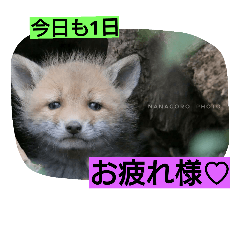 [LINEスタンプ] ななごろうスタンプ2