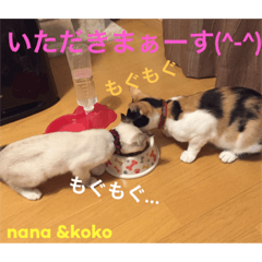 [LINEスタンプ] nana ＆ koko 01