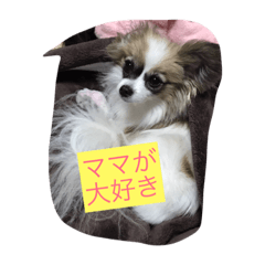 [LINEスタンプ] tiarasama