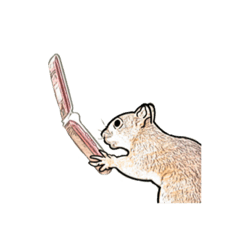 [LINEスタンプ] every day squirrel
