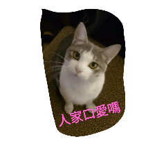 [LINEスタンプ] CatAndCervant