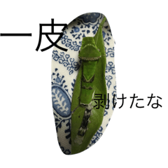 [LINEスタンプ] リアル青虫の画像（メイン）