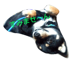 [LINEスタンプ] 我が家の仁さん~2