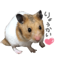 [LINEスタンプ] たいしょう #2