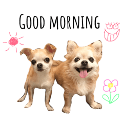 [LINEスタンプ] モンチムタム
