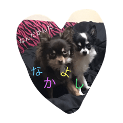 [LINEスタンプ] チワワの日常♡