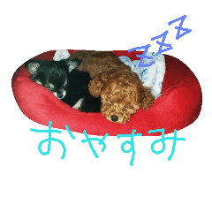 [LINEスタンプ] ペット達の日常