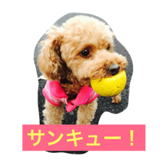 [LINEスタンプ] プードルのみく