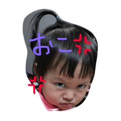 [LINEスタンプ] 我が家のあゆちゃん