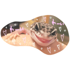 [LINEスタンプ] レオパのきりんさん2