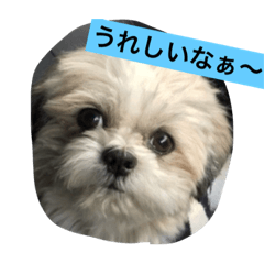 [LINEスタンプ] ライちゃんファミリー②