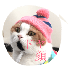 [LINEスタンプ] Peko Stanp