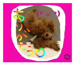 [LINEスタンプ] EMA with saa66 T.poodle