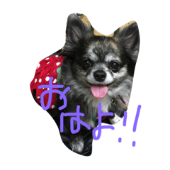 [LINEスタンプ] 可愛いうちのナナちゃん