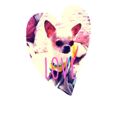 [LINEスタンプ] momotenurara