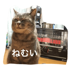 [LINEスタンプ] よこた家のスタンプ