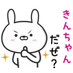 [LINEスタンプ] 【きんちゃん】が使ううさぎ