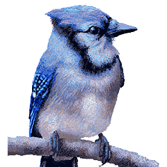 [LINEスタンプ] He-yi Painted Birds 01