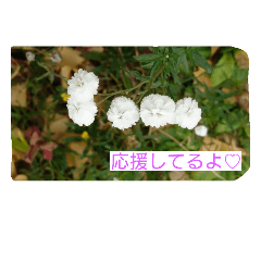 [LINEスタンプ] 普段使いの日常会話