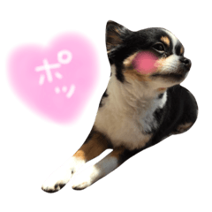 [LINEスタンプ] ぷうさん FAMILY！！