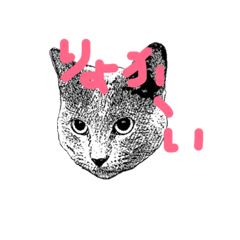 [LINEスタンプ] 猫 にゃんスタンプ