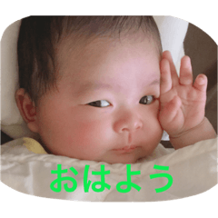 [LINEスタンプ] 楓ベビー スタンプ