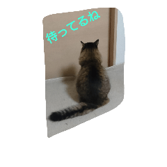 [LINEスタンプ] とらくんスタンプその1 