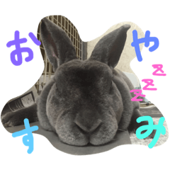 [LINEスタンプ] Lovely Lune 2